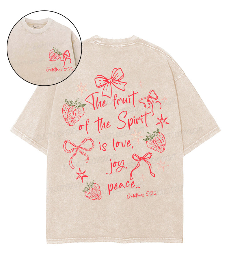 Fruit Of The Spirit Double Sided Unisex Washed Christian T-shirt
