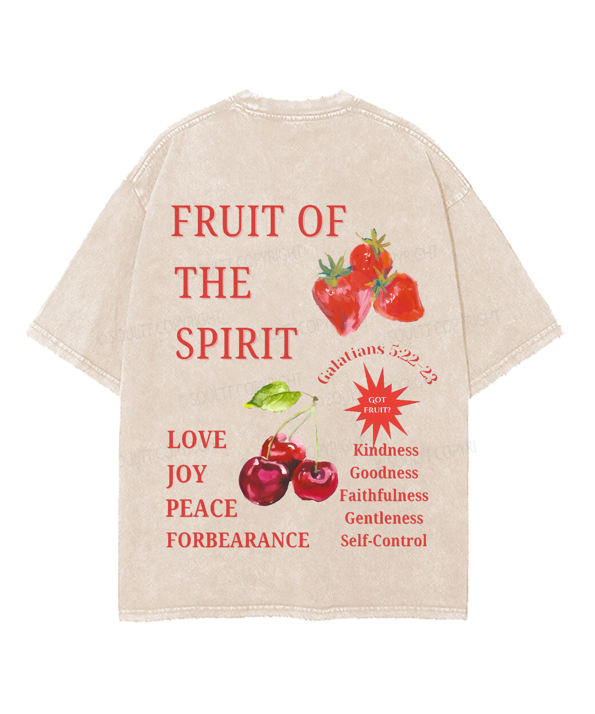 Fruit Of The Spirit Double Sided Unisex Washed Christian T-shirt