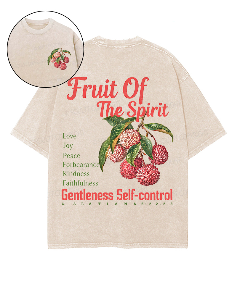 Fruit Of The Spirit Double Sided Unisex Washed Christian T-shirt