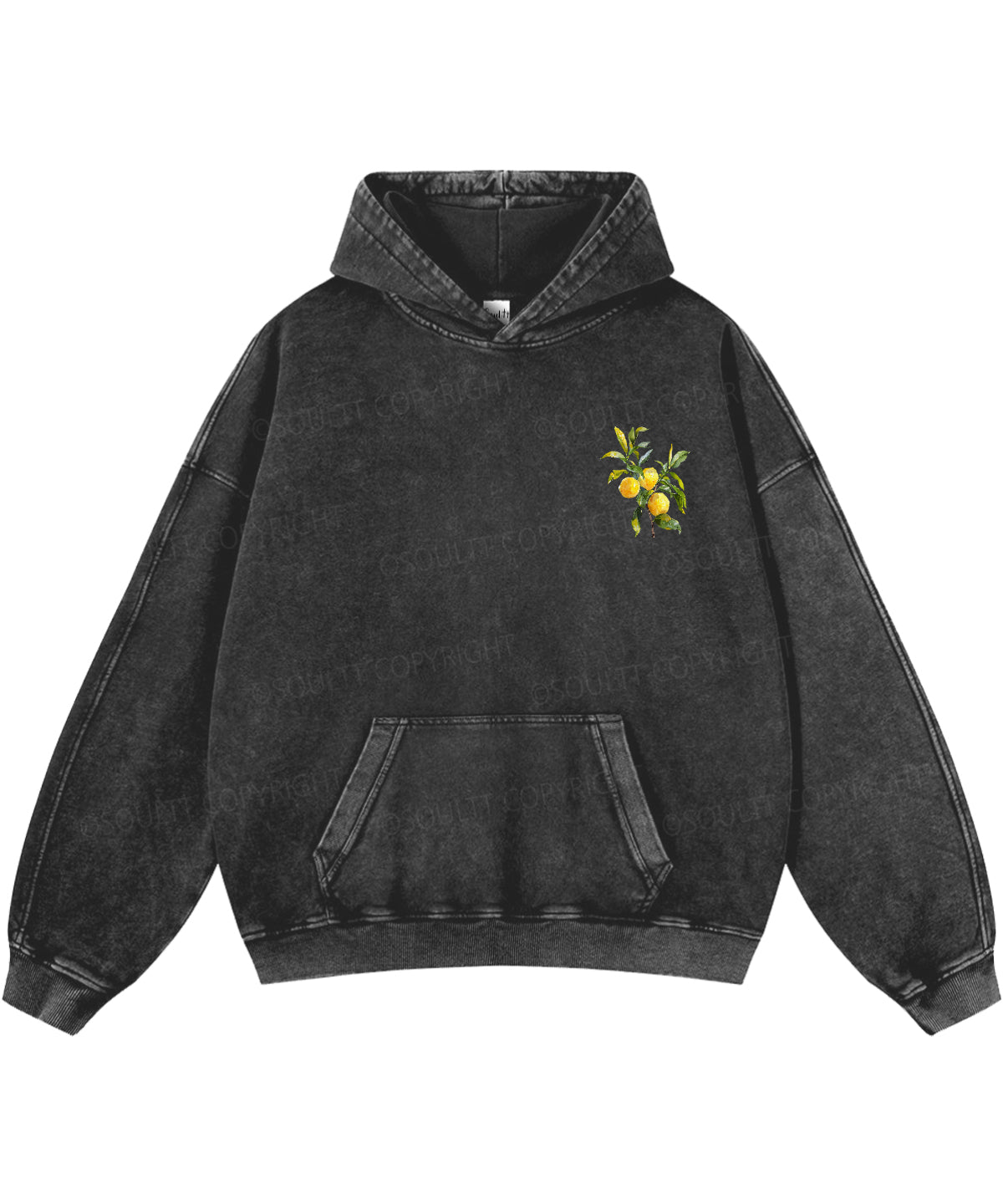The Fruit Of The Spirit Double Sided Washed Christian Hoodie