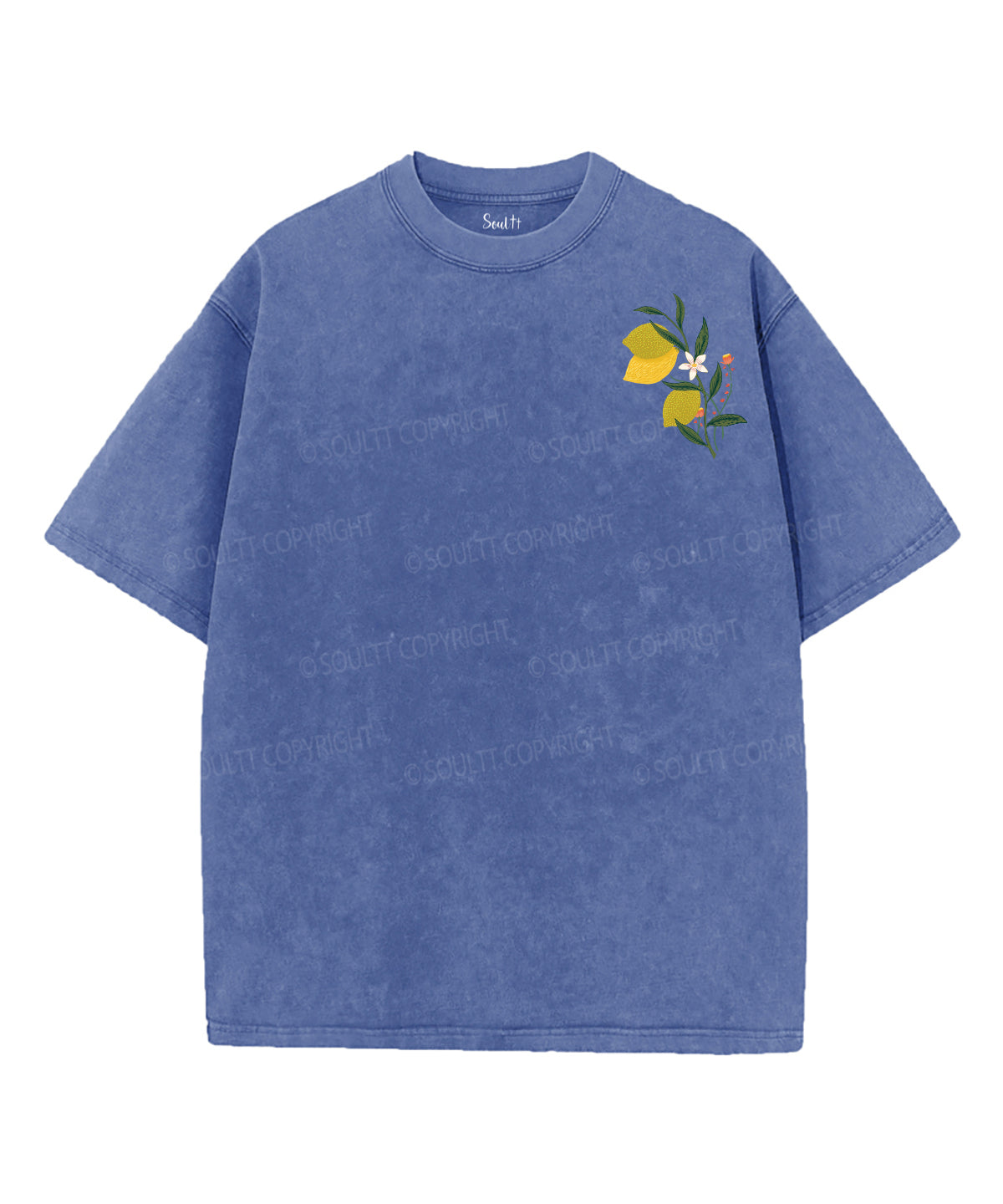 The Fruit Of The Spirit Double Sided Unisex Washed Christian T-shirt