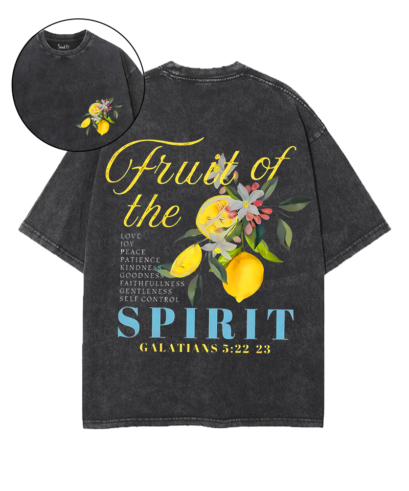 Fruit Of The Spirit Double Sided Unisex Washed Christian T-shirt