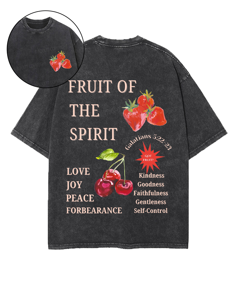 Fruit Of The Spirit Double Sided Unisex Washed Christian T-shirt