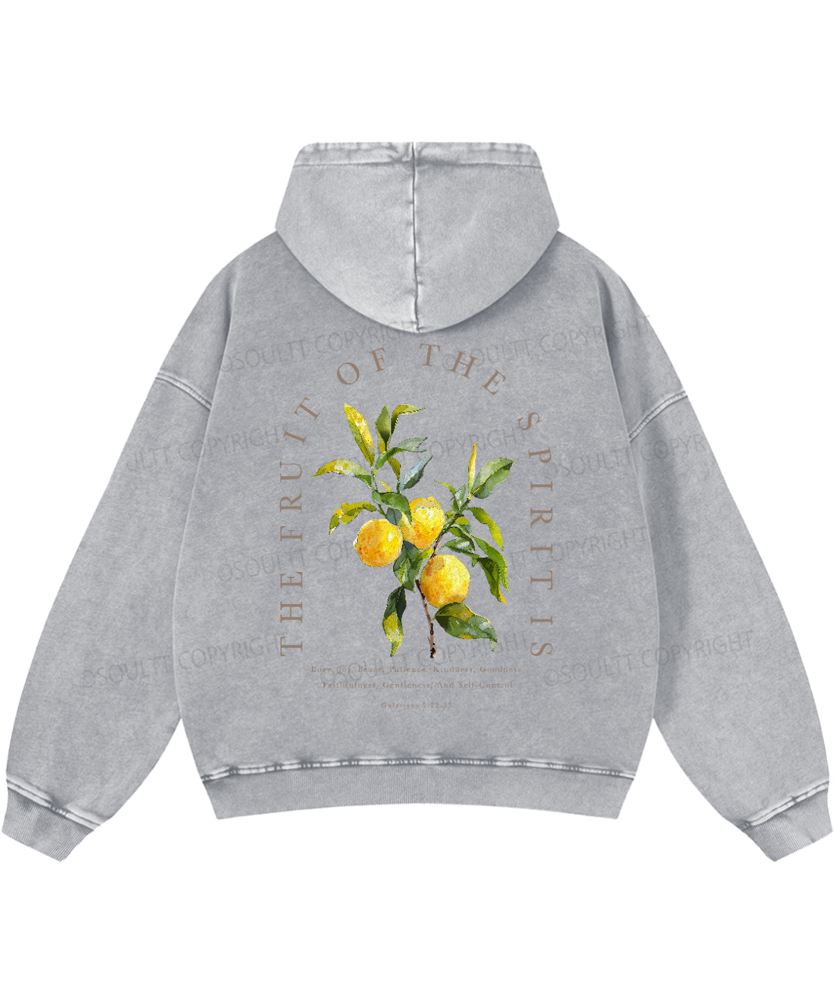 The Fruit Of The Spirit Double Sided Washed Christian Hoodie