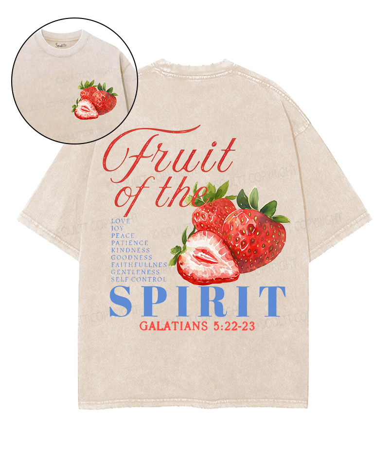 Fruit Of The Spirit Double Sided Unisex Washed Christian T-shirt