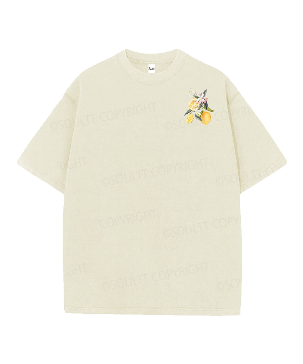 Fruit Of The Spirit Double Sided Unisex Christian Washed T-Shirt & Shorts