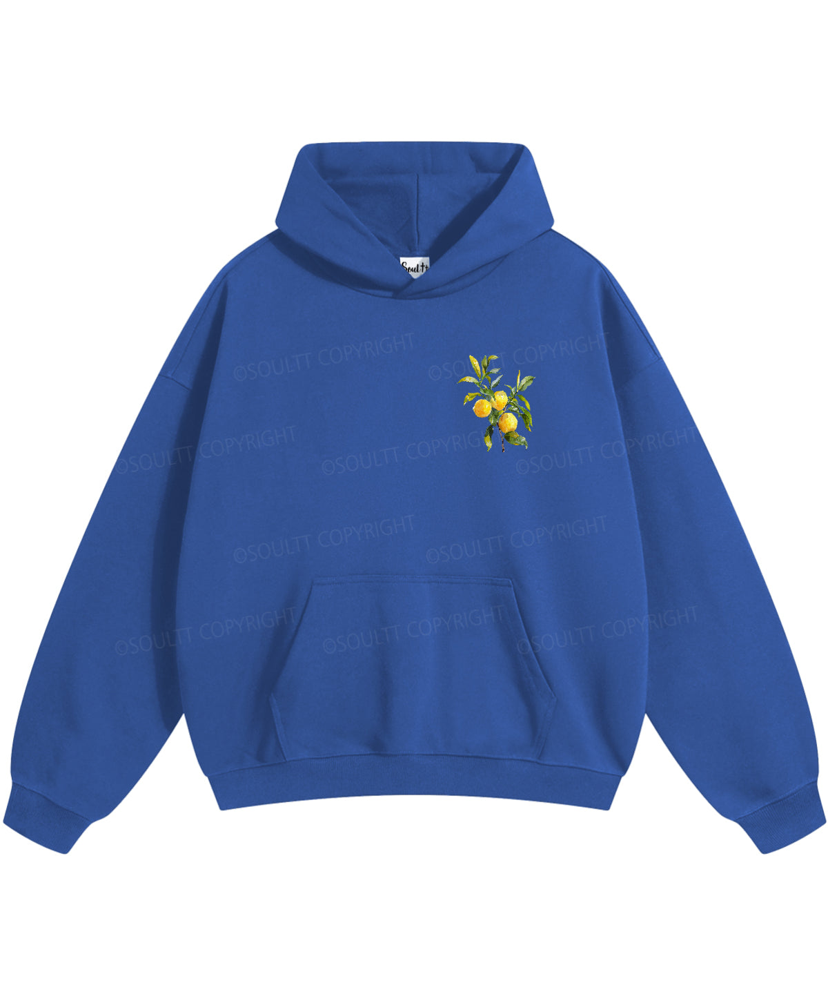 The Fruit Of The Spirit Double Sided Christian Hoodie