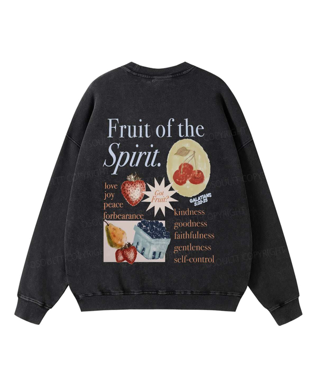 Fruit Of The Spirit Double Sided Washed Christian Sweatshirt