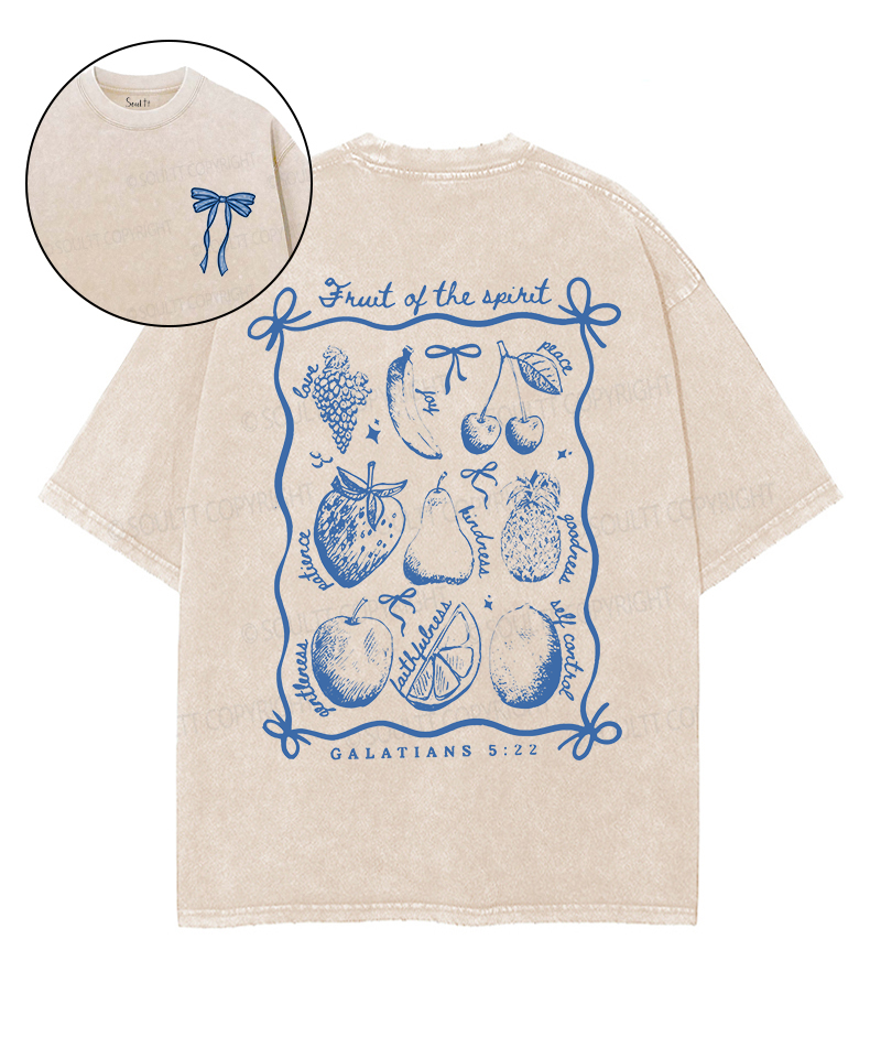 Fruit Of The Spirit Double Sided Unisex Washed Christian T-shirt