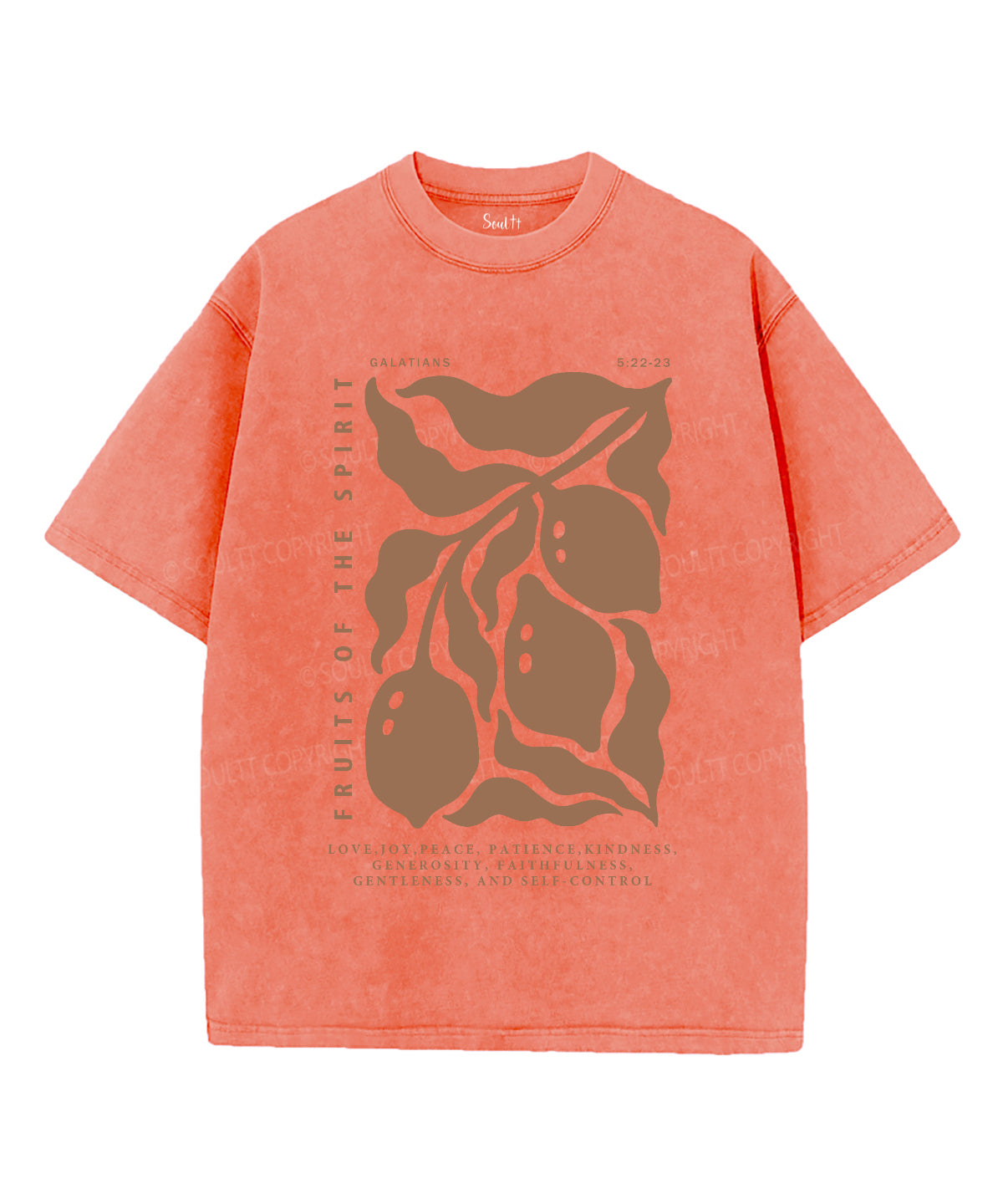 Fruits Of The Spirit Washed Christian T-shirt
