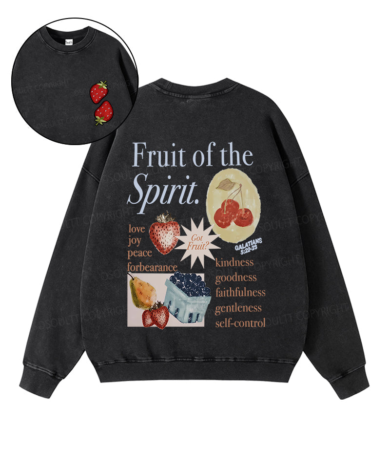 Fruit Of The Spirit Double Sided Washed Christian Sweatshirt