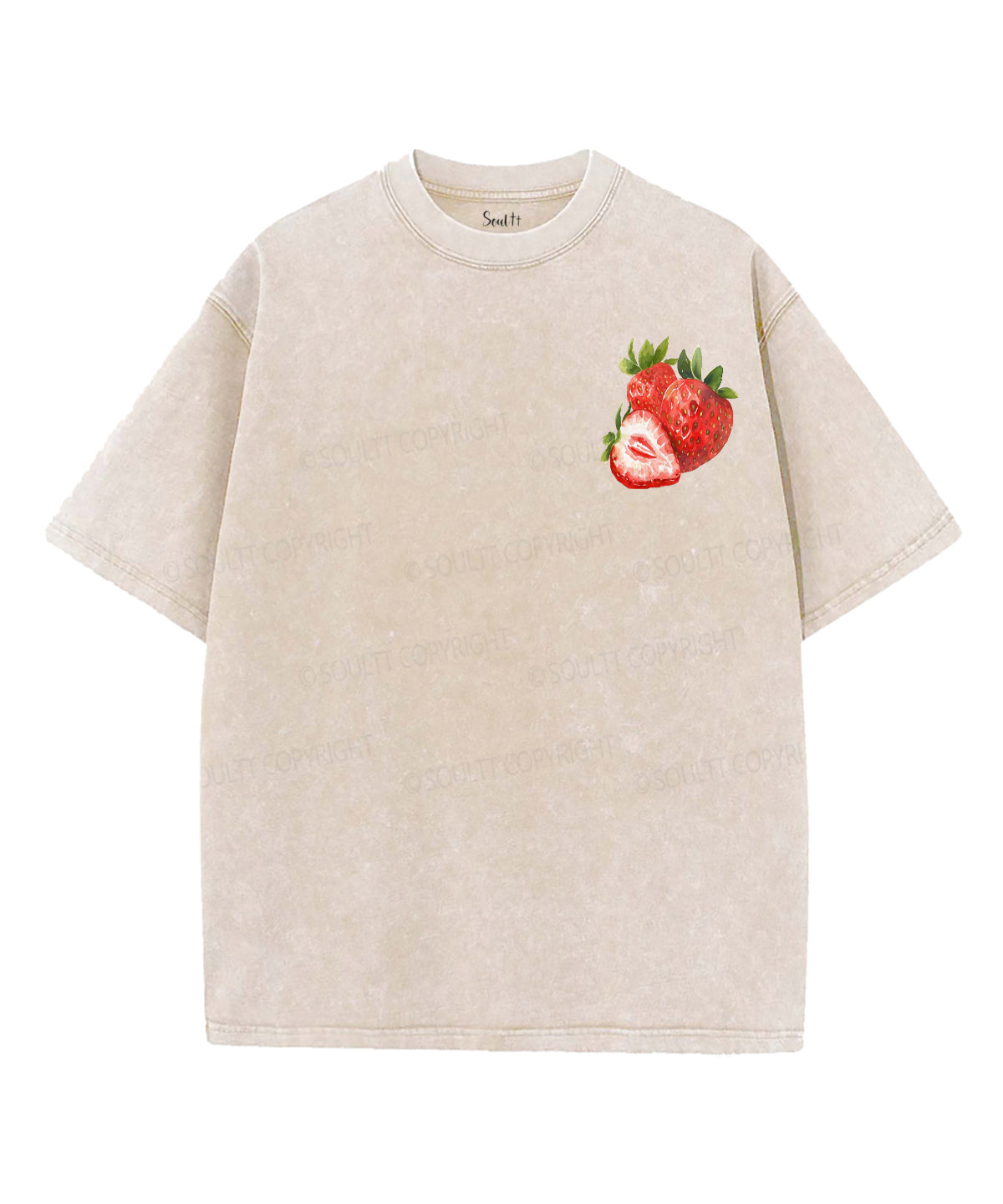 Fruit Of The Spirit Double Sided Unisex Washed Christian T-shirt
