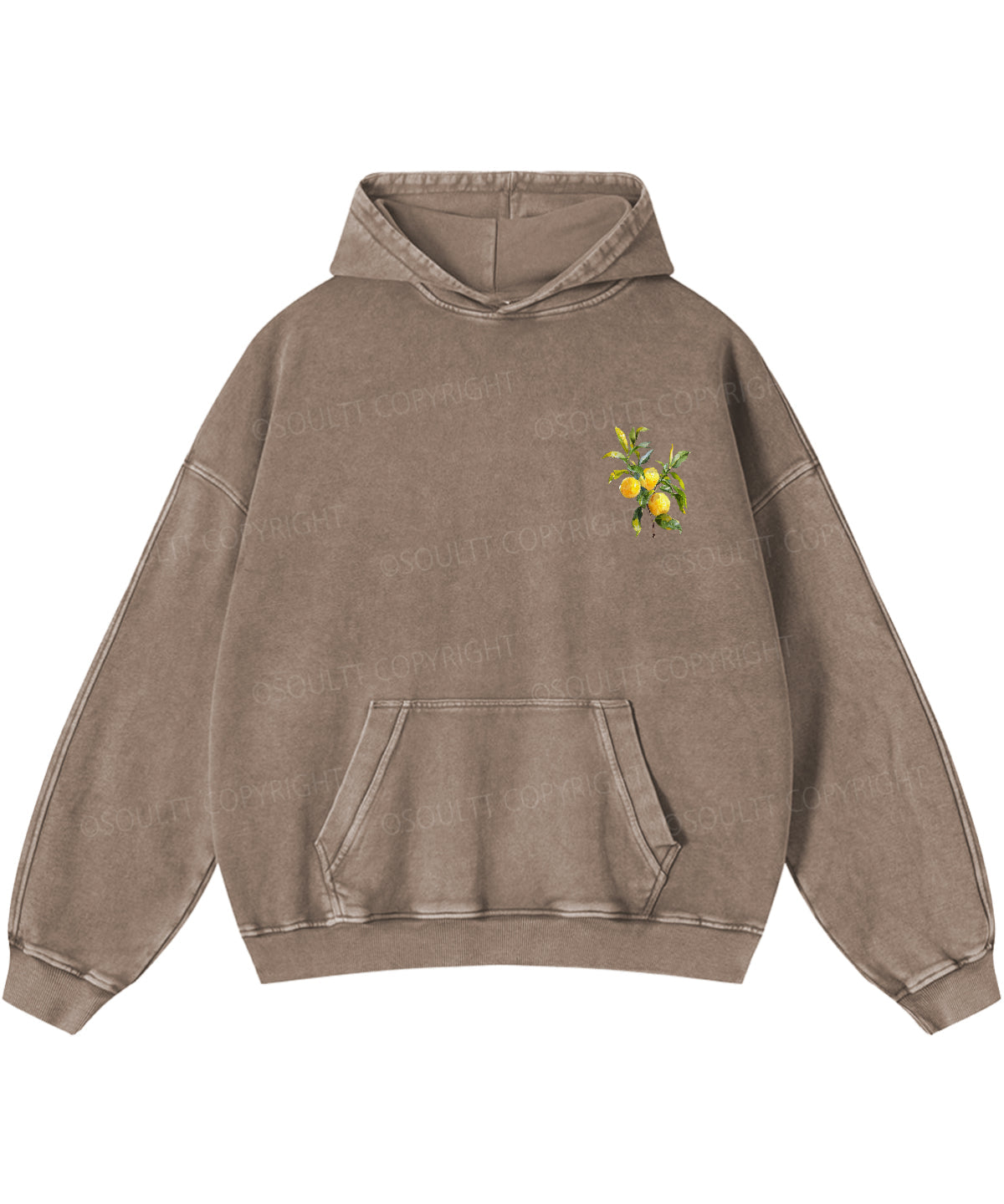 The Fruit Of The Spirit Double Sided Washed Christian Hoodie