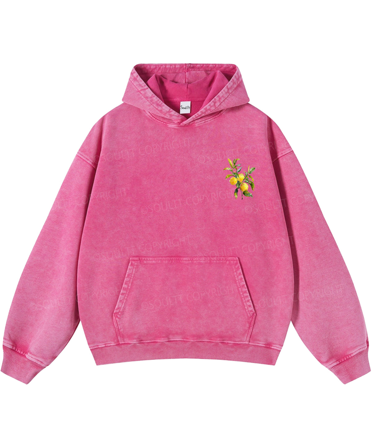 The Fruit Of The Spirit Double Sided Washed Christian Hoodie