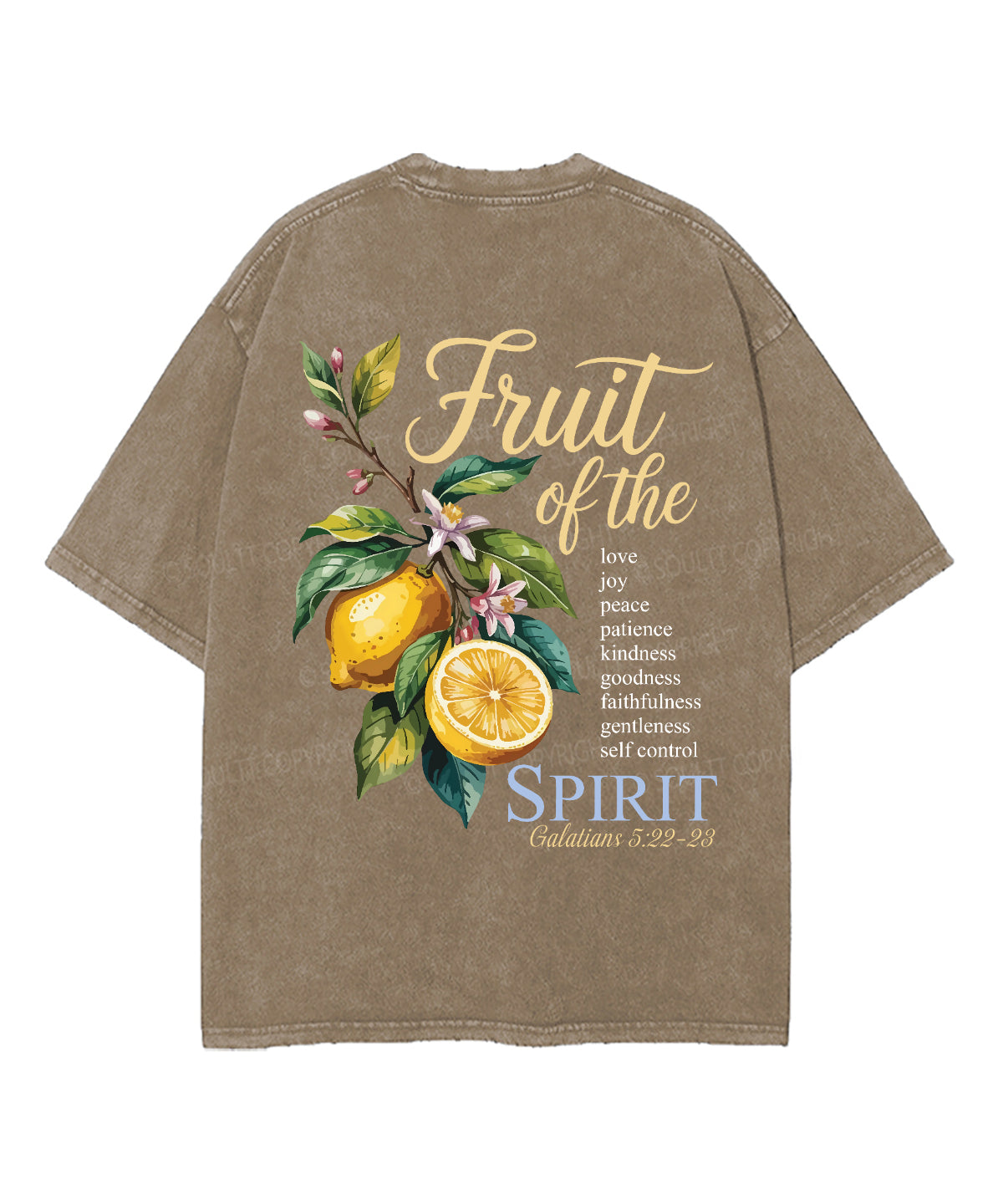 Fruit Of The Spirit Unisex Washed Christian T-shirt