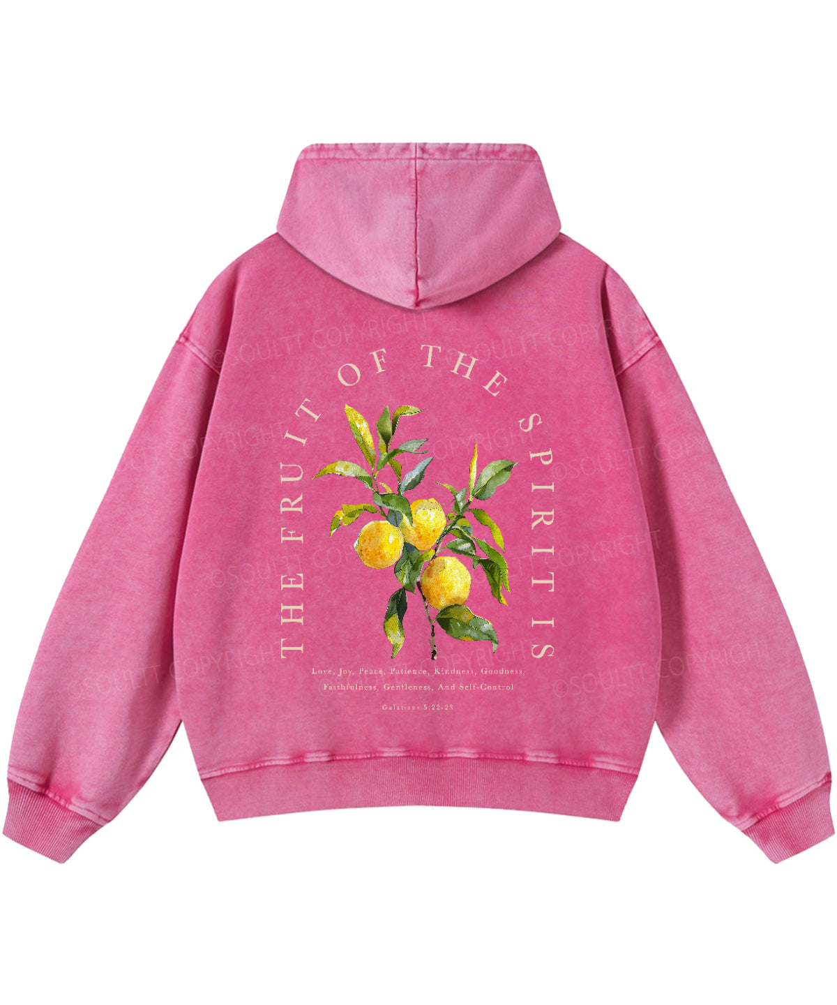 The Fruit Of The Spirit Double Sided Washed Christian Hoodie
