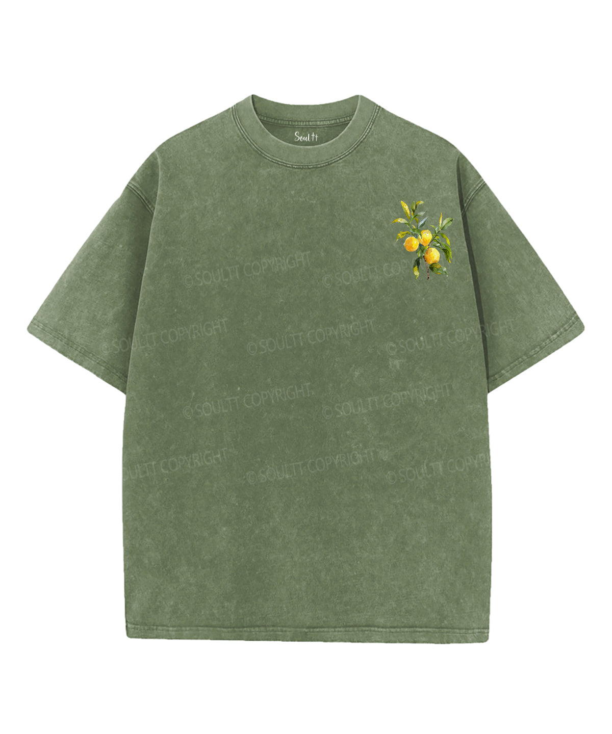 The Fruit Of The Spirit Double Sided Unisex Washed Christian T-shirt