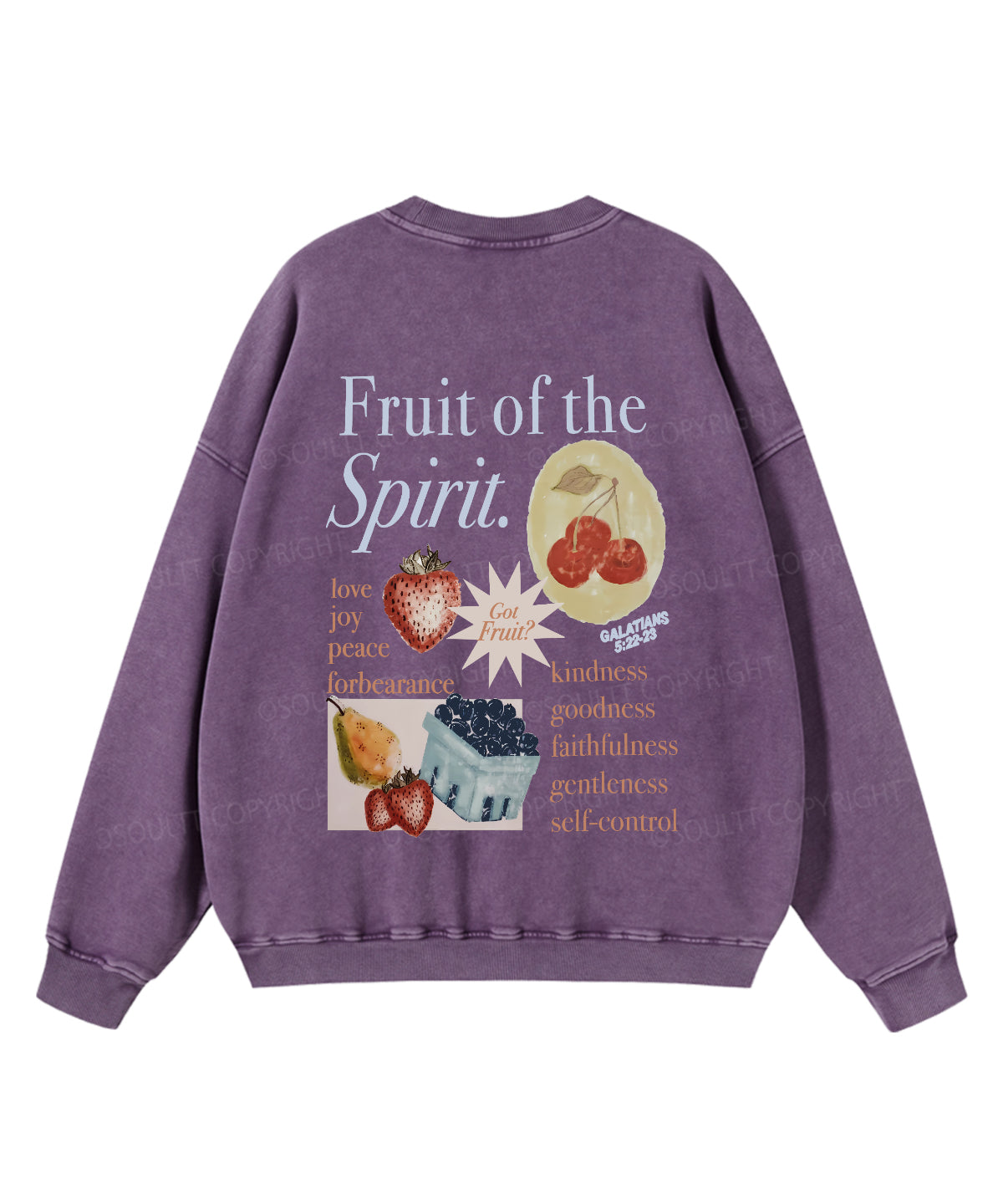 Fruit Of The Spirit Double Sided Washed Christian Sweatshirt