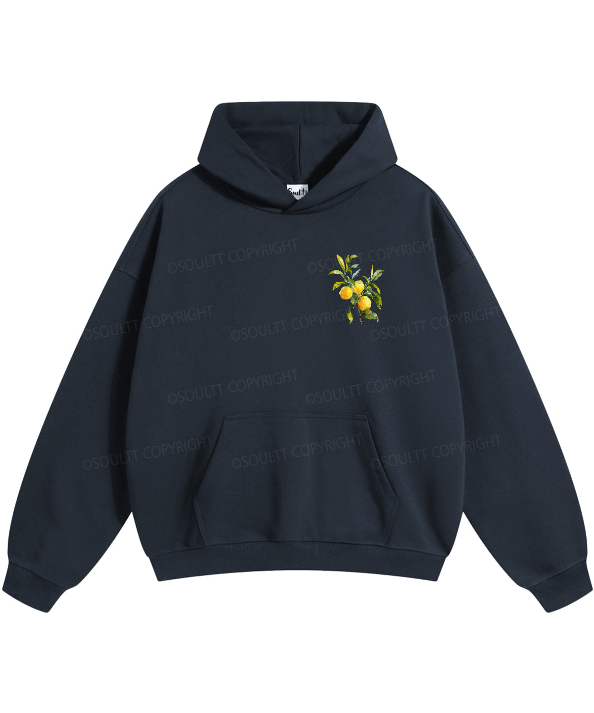 The Fruit Of The Spirit Double Sided Christian Hoodie