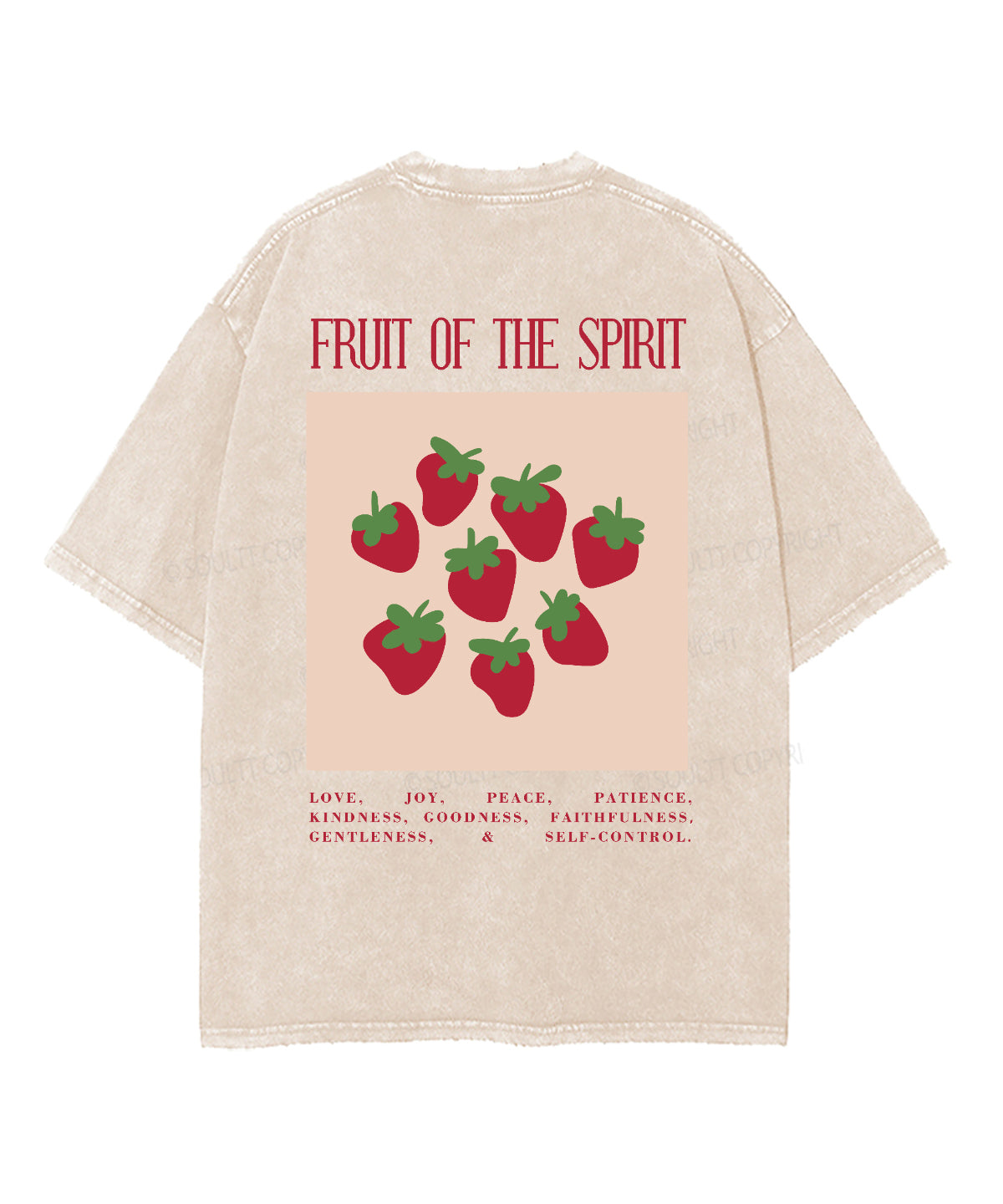 Fruit Of The Spirit Double Sided Washed Christian T-shirt