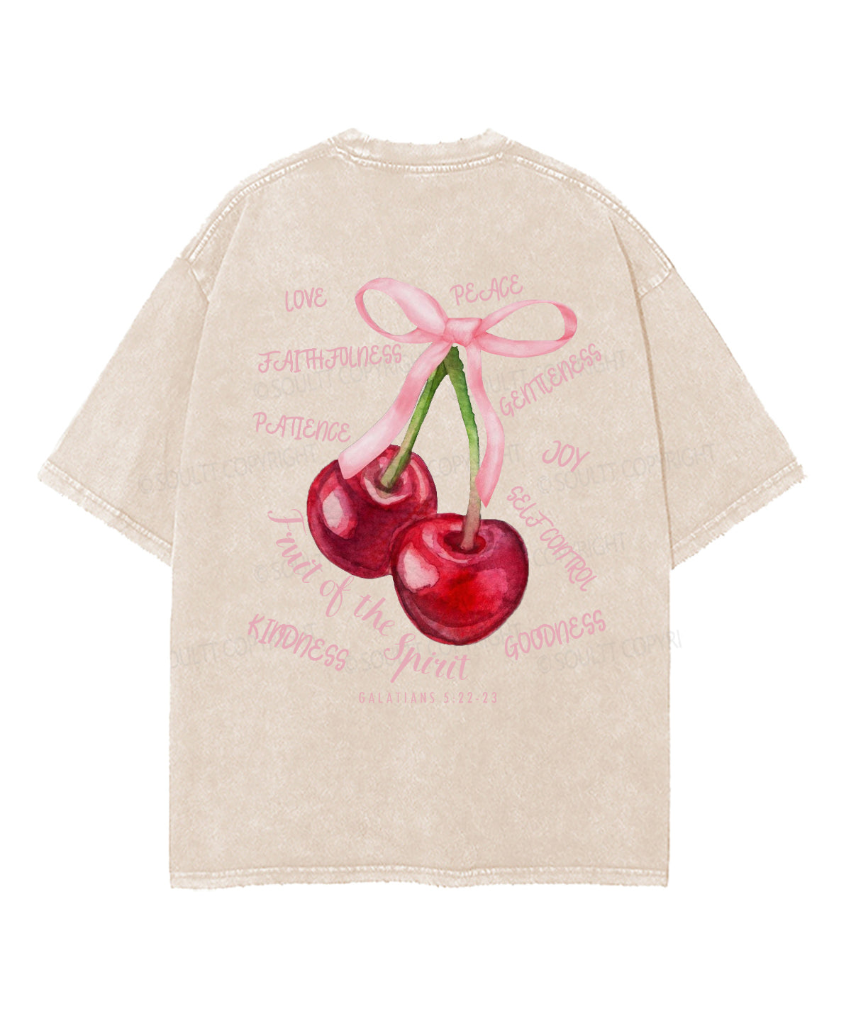 Fruit Of The Spirit Double Sided Washed Christian T-shirt