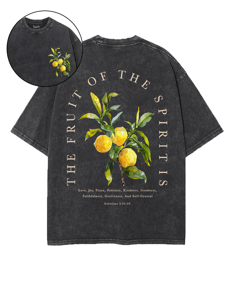 The Fruit Of The Spirit Double Sided Unisex Washed Christian T-shirt