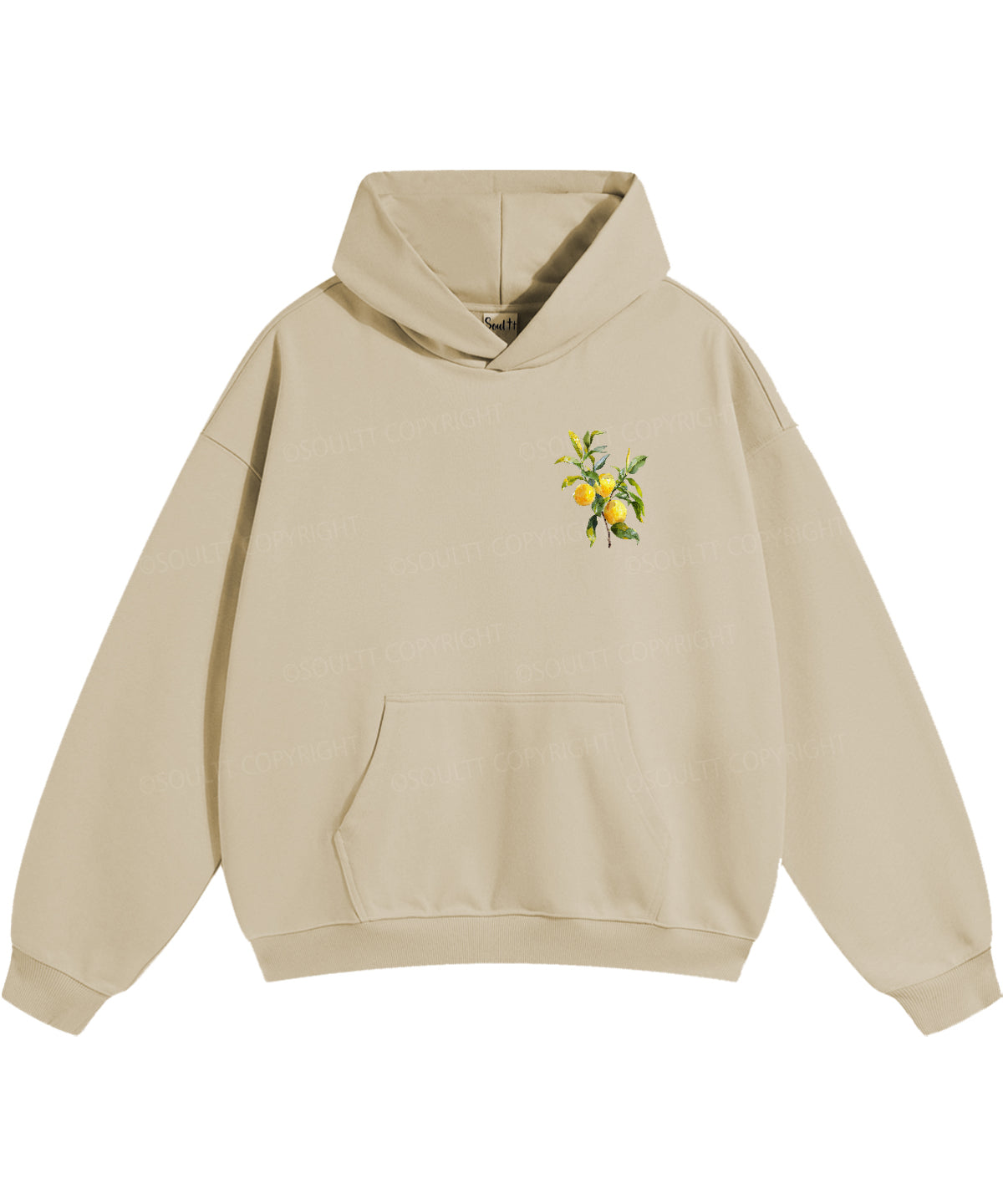 The Fruit Of The Spirit Double Sided Christian Hoodie