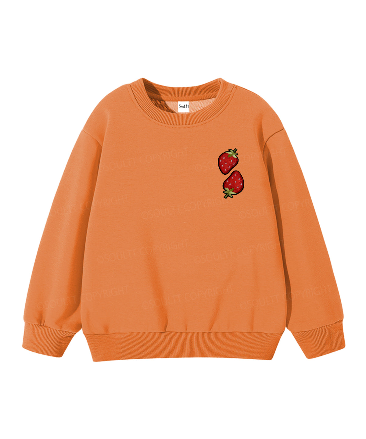 Kids Fruit Of The Spirit Double Sided Christian Sweatshirt