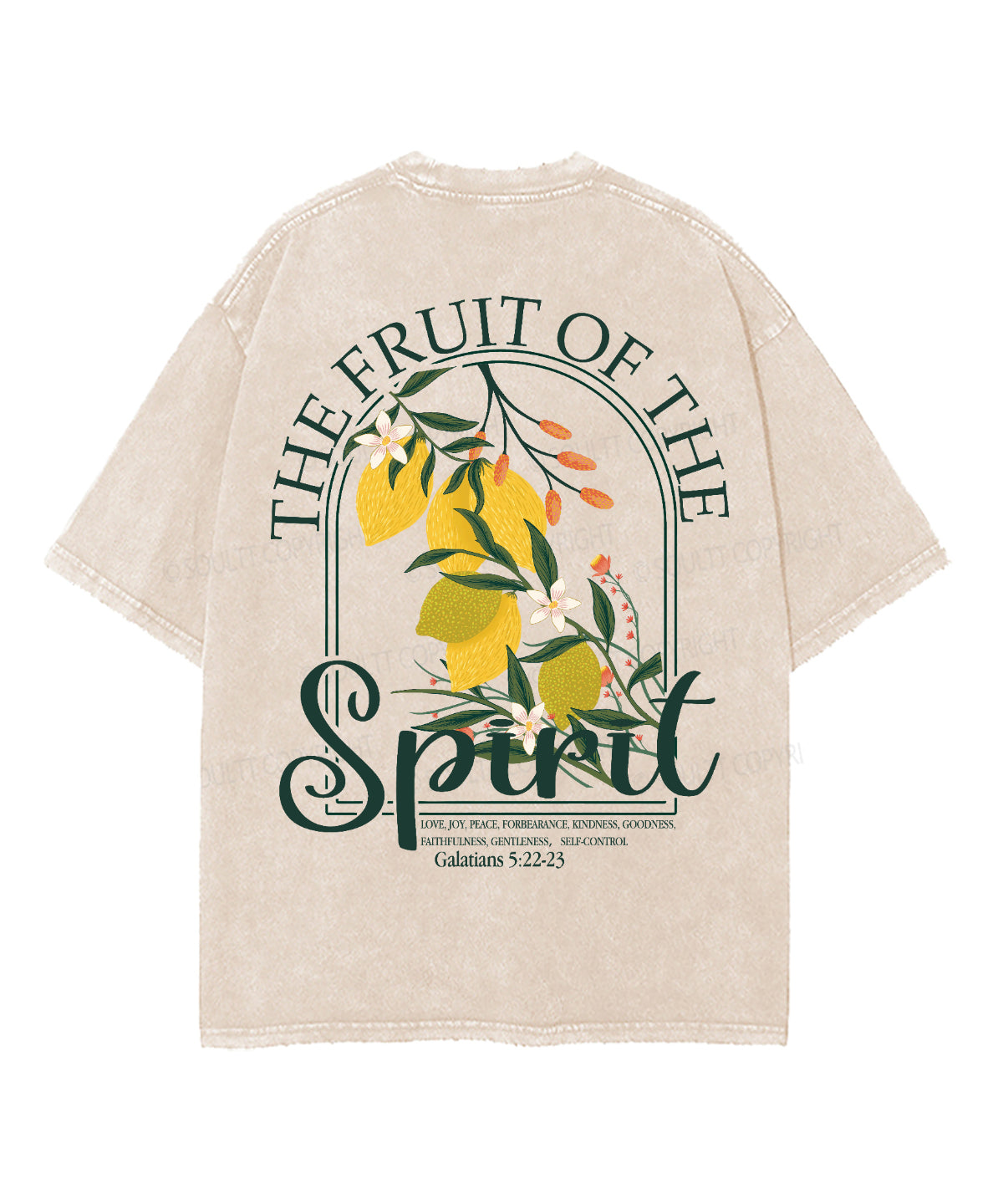 The Fruit Of The Spirit Double Sided Unisex Washed Christian T-shirt