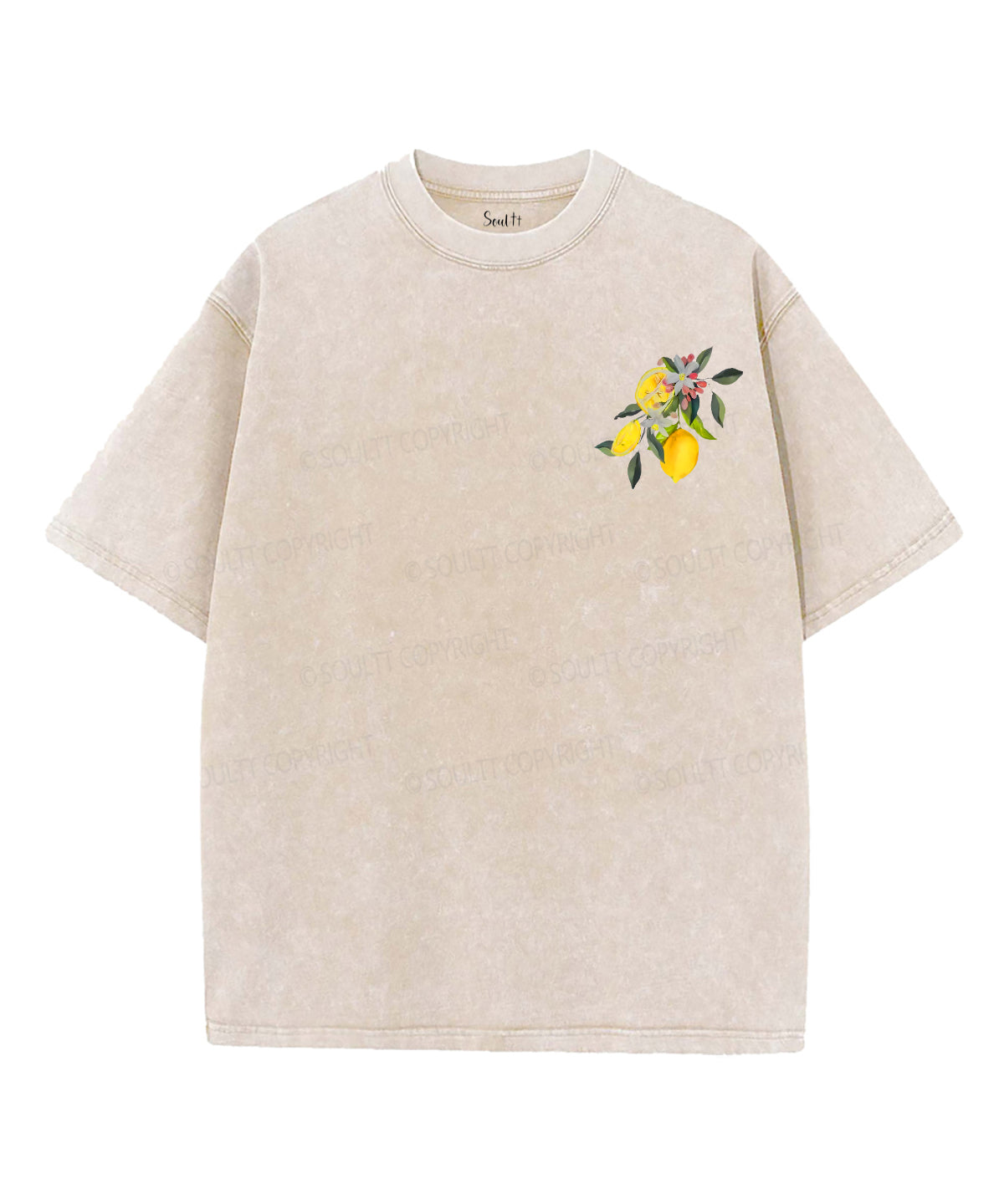 Fruit Of The Spirit Double Sided Unisex Washed Christian T-shirt