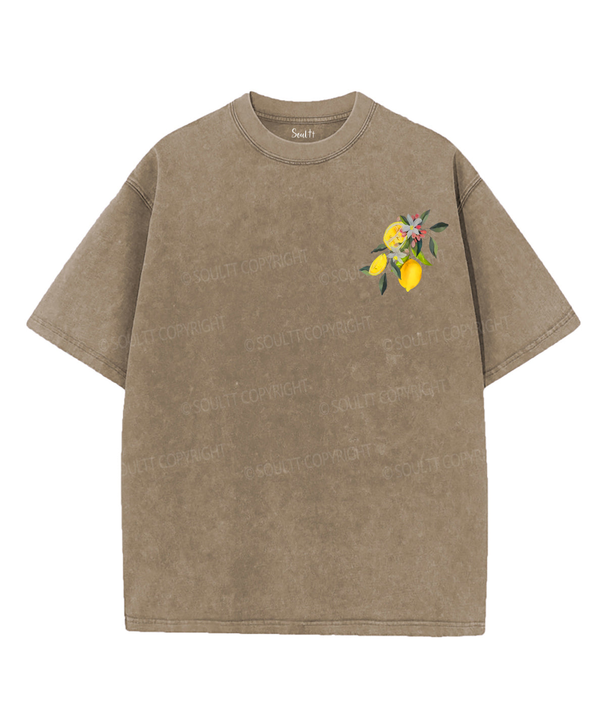 Fruit Of The Spirit Double Sided Unisex Washed Christian T-shirt