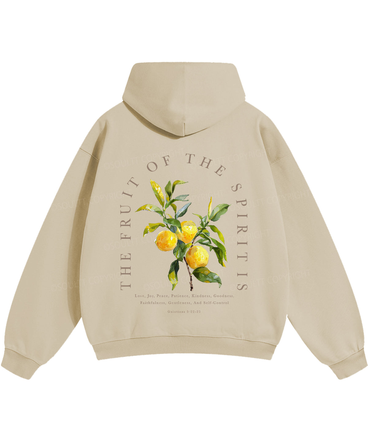 The Fruit Of The Spirit Double Sided Christian Hoodie