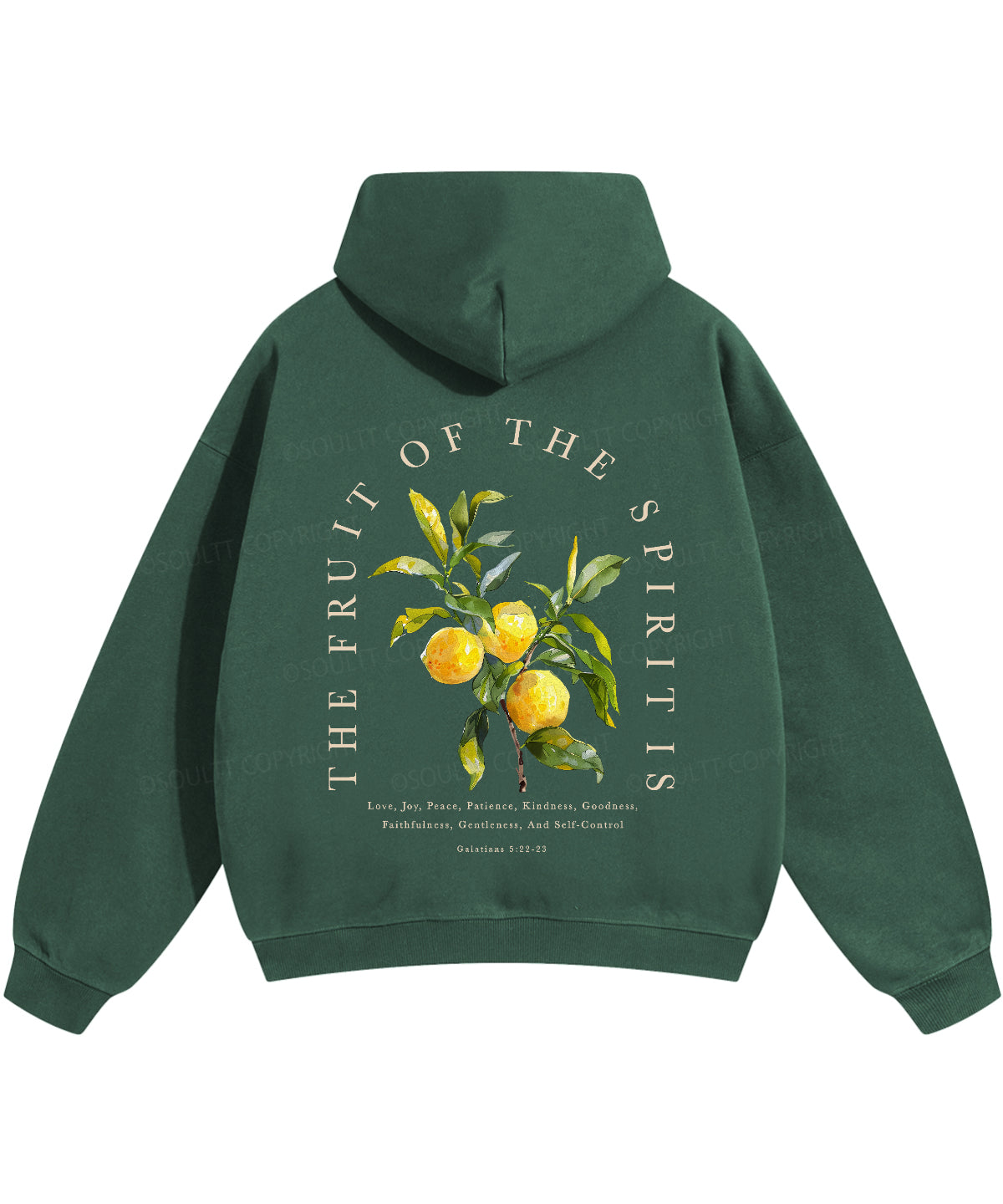 The Fruit Of The Spirit Double Sided Christian Hoodie