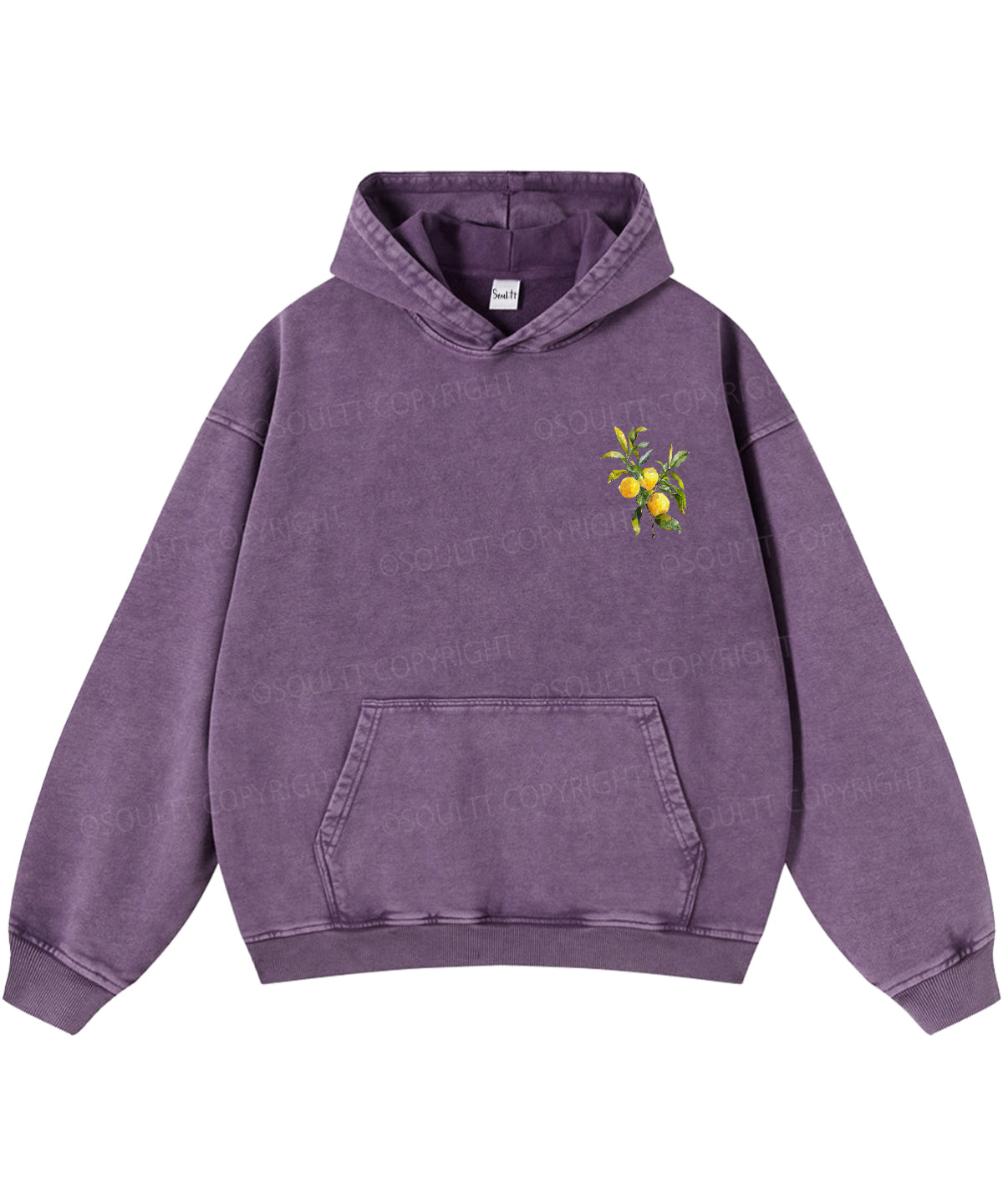 The Fruit Of The Spirit Double Sided Washed Christian Hoodie