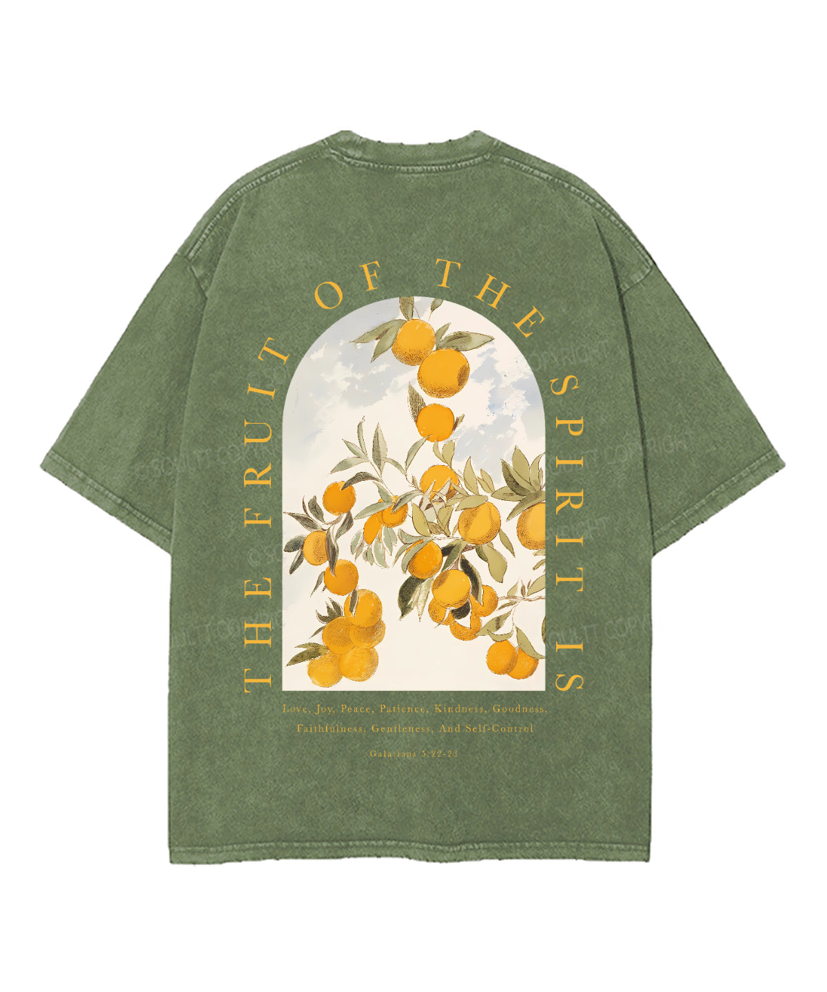 The Fruit of the Spirit Unisex Washed Christian T-shirt