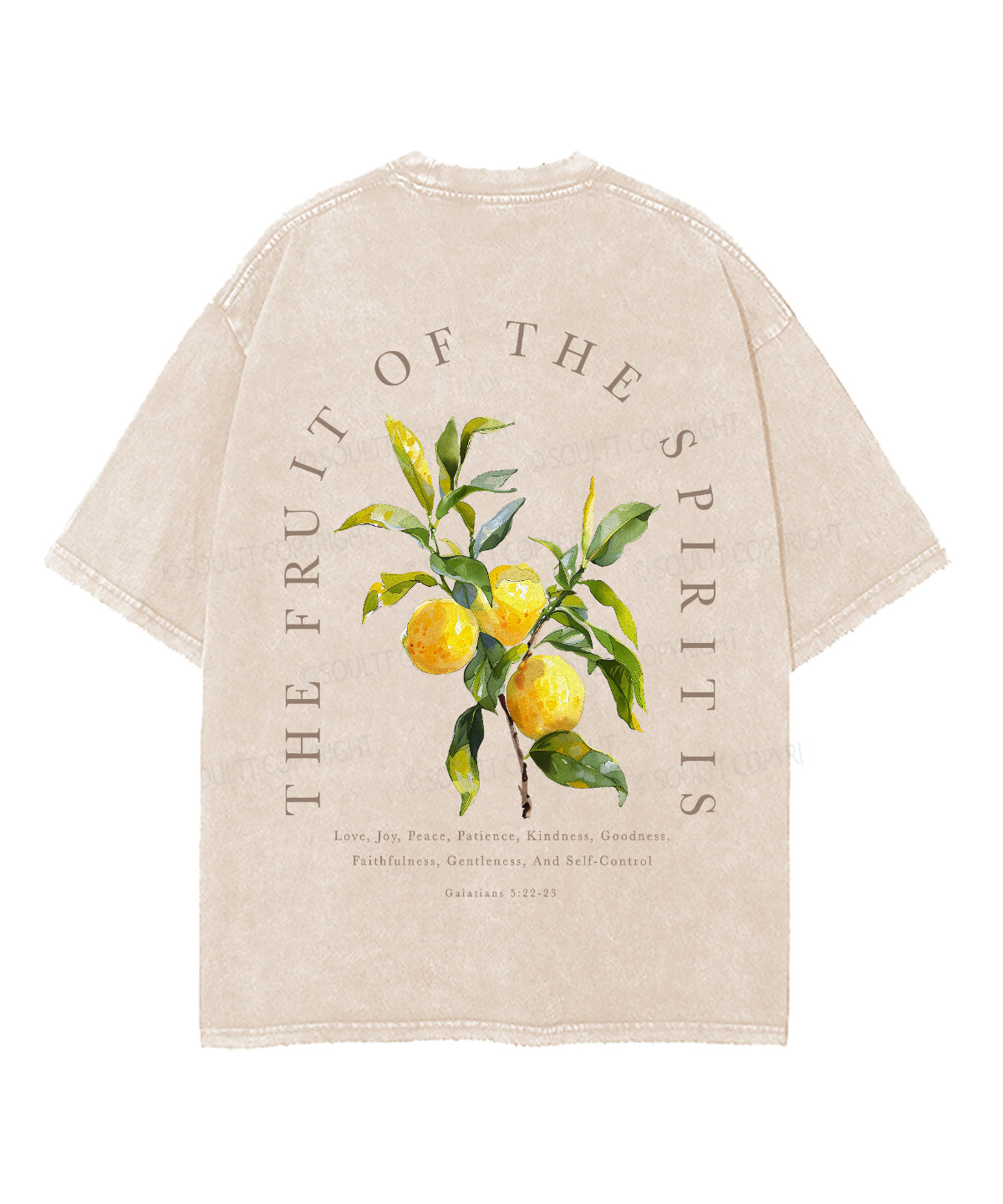 The Fruit Of The Spirit Double Sided Unisex Washed Christian T-shirt