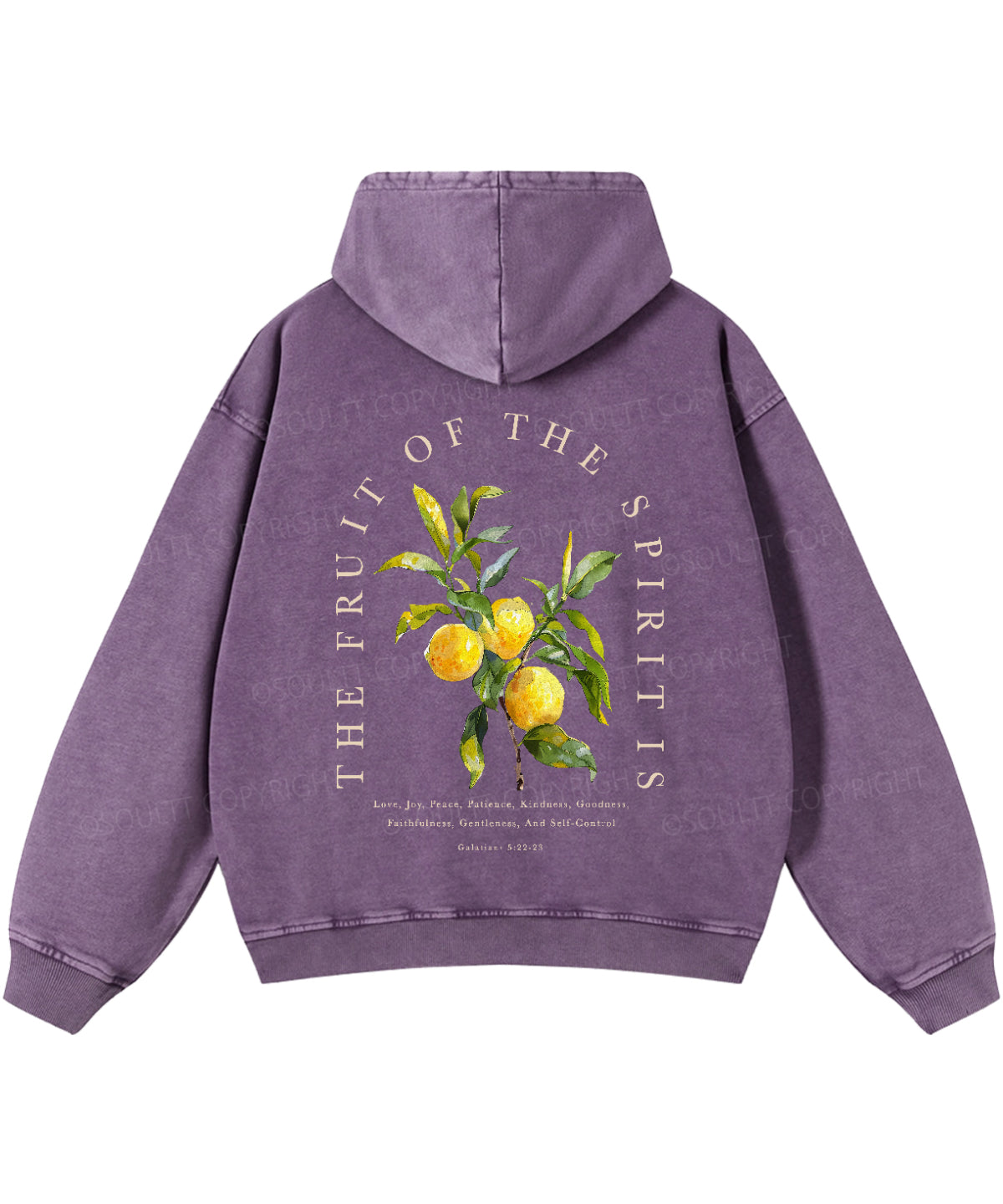 The Fruit Of The Spirit Double Sided Washed Christian Hoodie