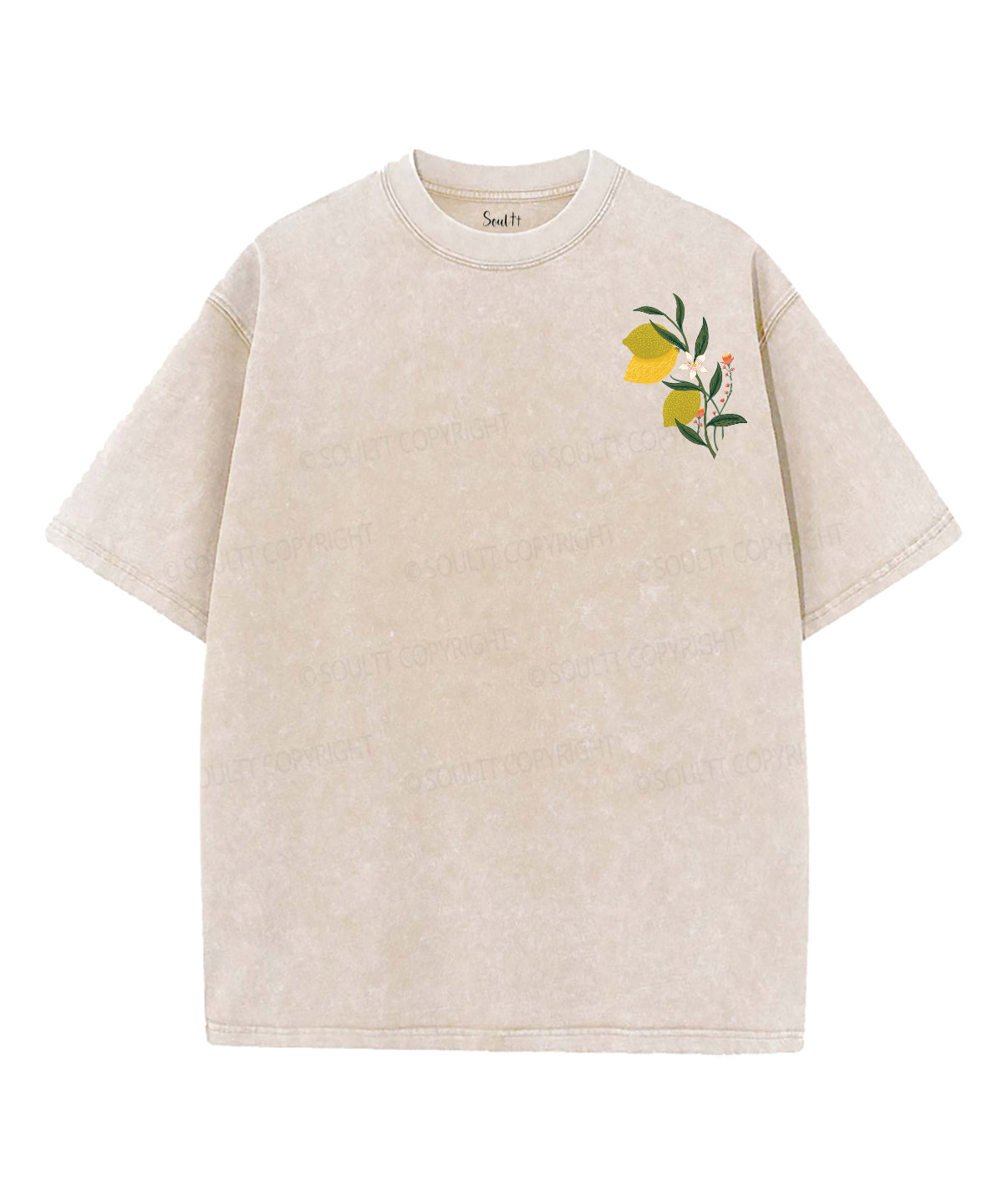 The Fruit Of The Spirit Double Sided Unisex Washed Christian T-shirt