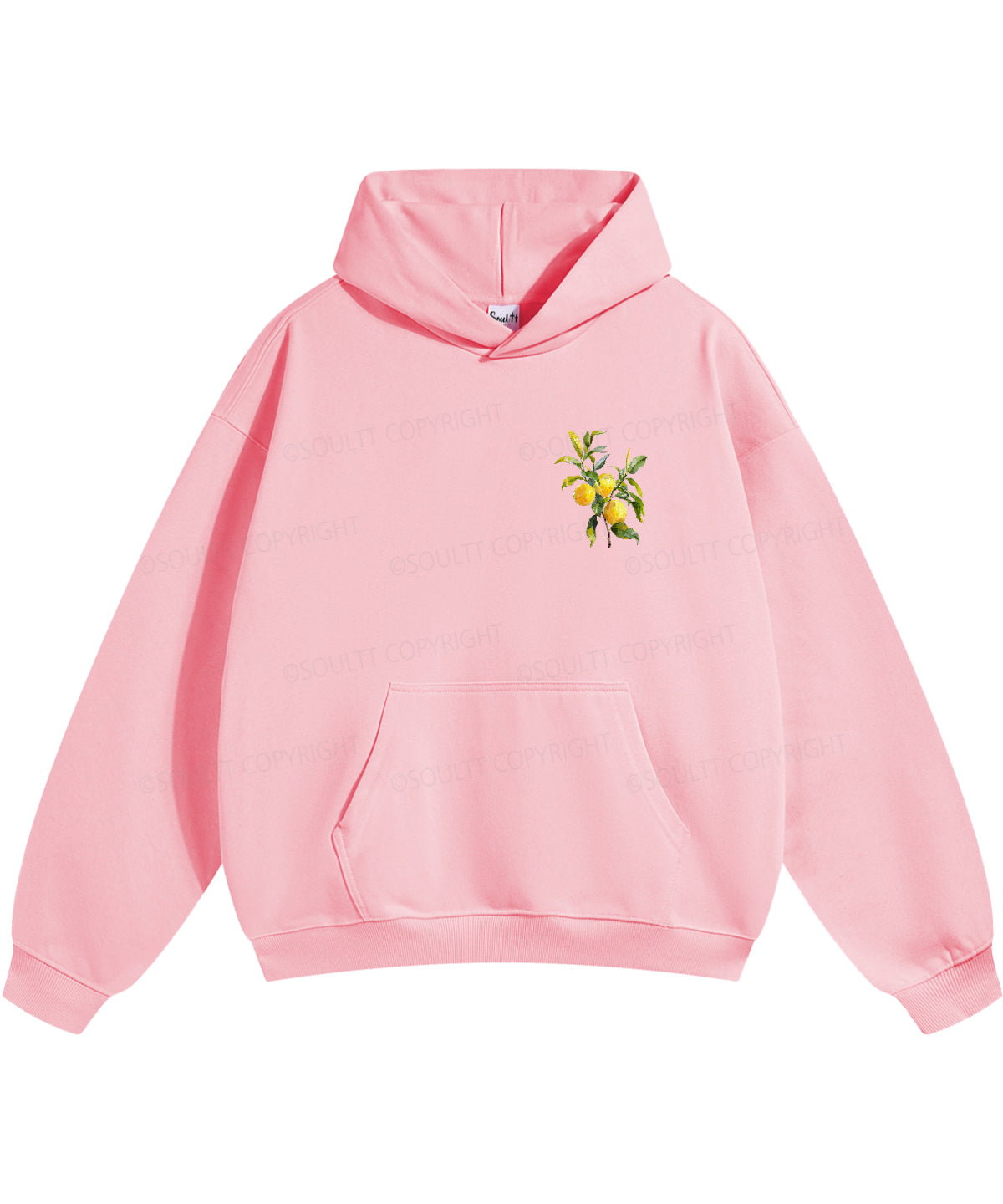 The Fruit Of The Spirit Double Sided Christian Hoodie