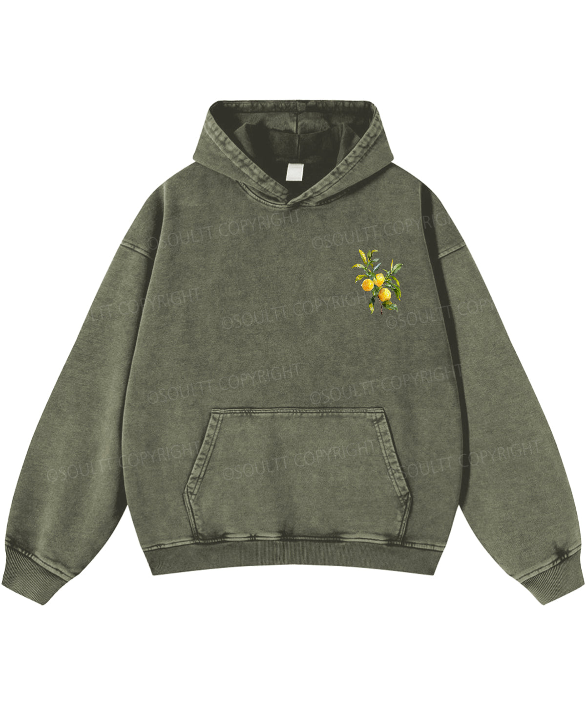 The Fruit Of The Spirit Double Sided Washed Christian Hoodie