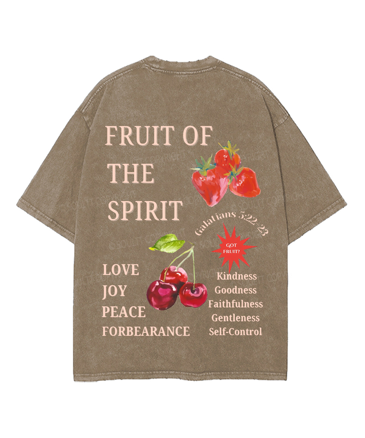 Fruit Of The Spirit Double Sided Unisex Washed Christian T-shirt