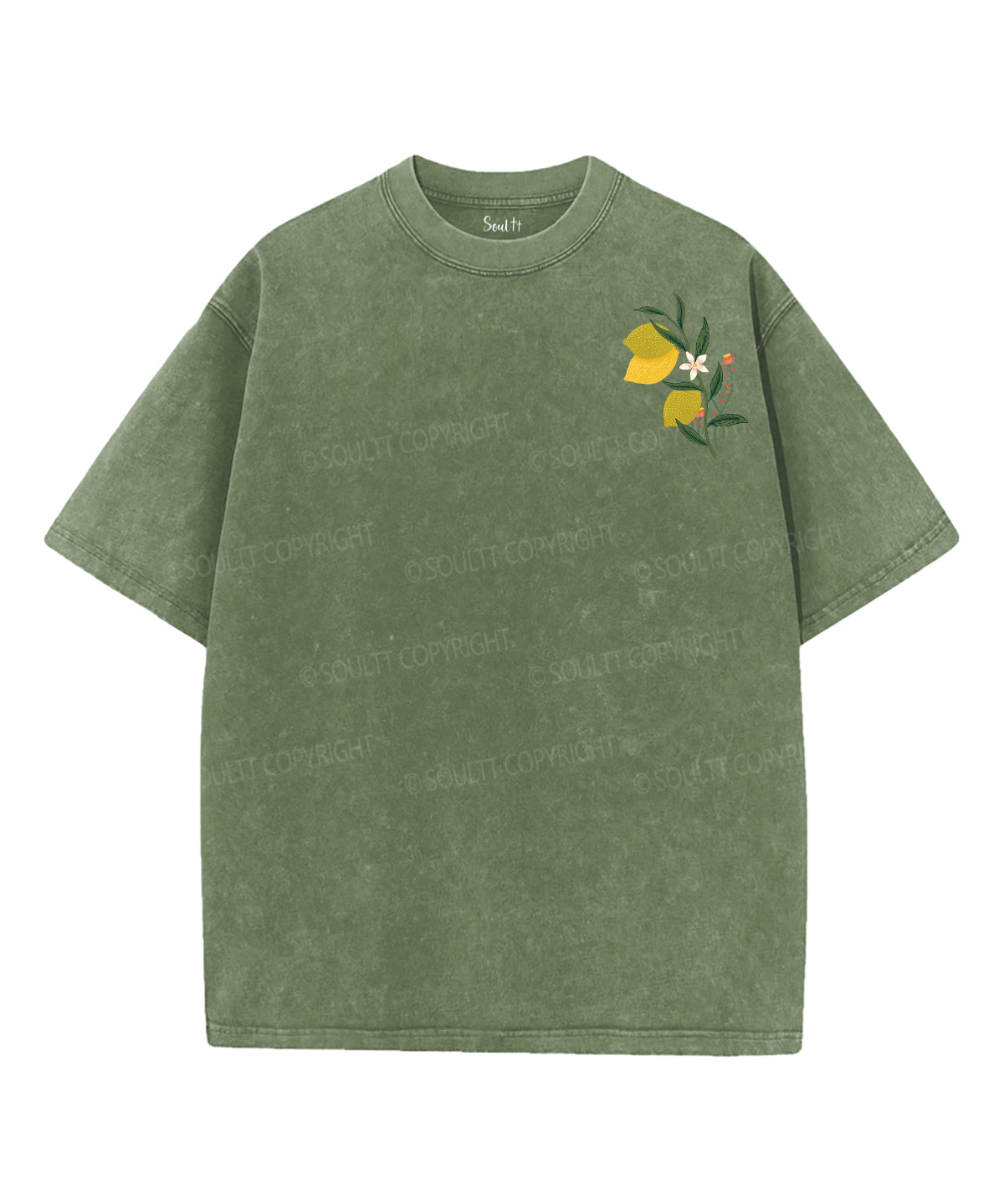 The Fruit Of The Spirit Double Sided Unisex Washed Christian T-shirt
