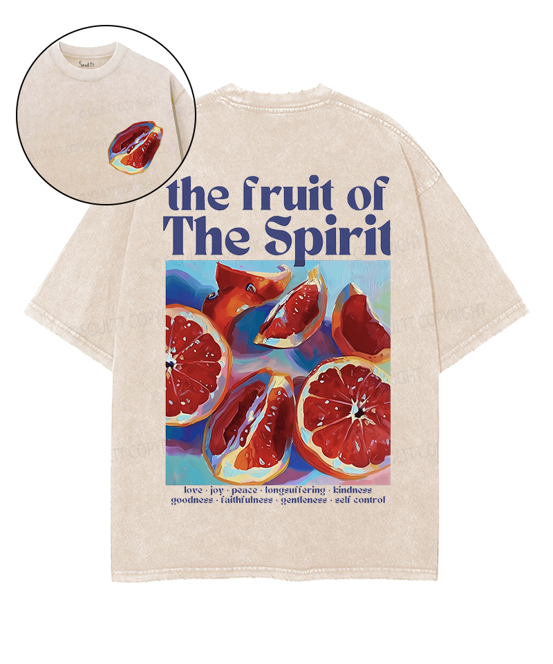 The Fruit Of The Spirit Double Sided Unisex Washed Christian T-shirt