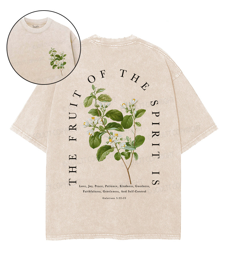 Fruit Of The Spirit Double Sided Unisex Washed Christian T-shirt