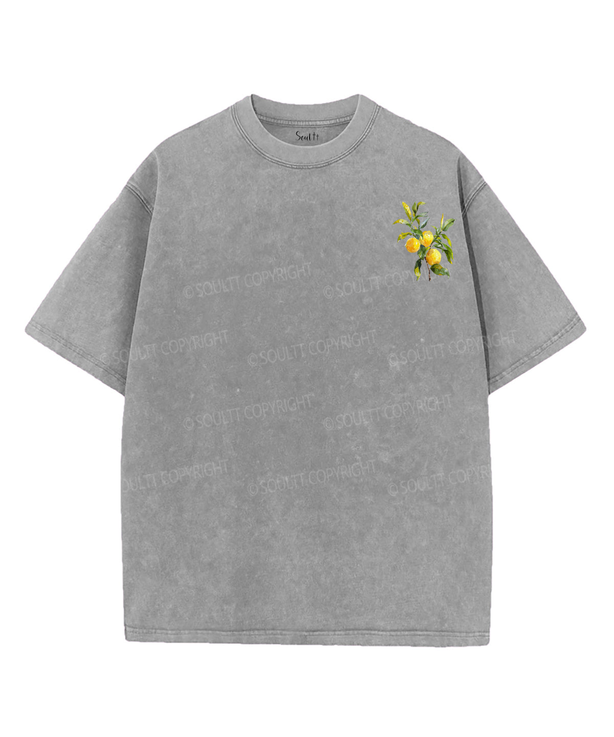The Fruit Of The Spirit Double Sided Unisex Washed Christian T-shirt