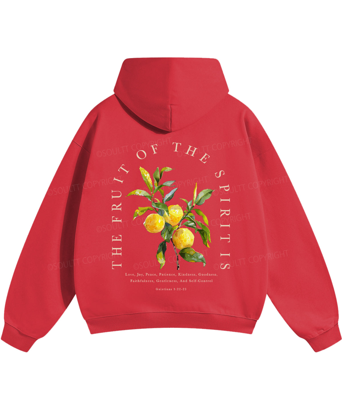 The Fruit Of The Spirit Double Sided Christian Hoodie