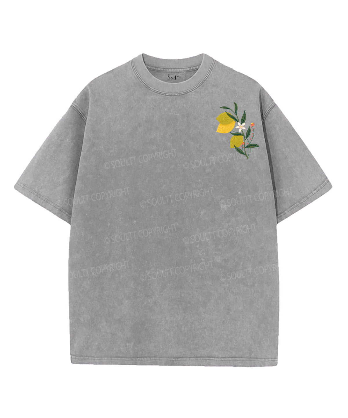 The Fruit Of The Spirit Double Sided Unisex Washed Christian T-shirt