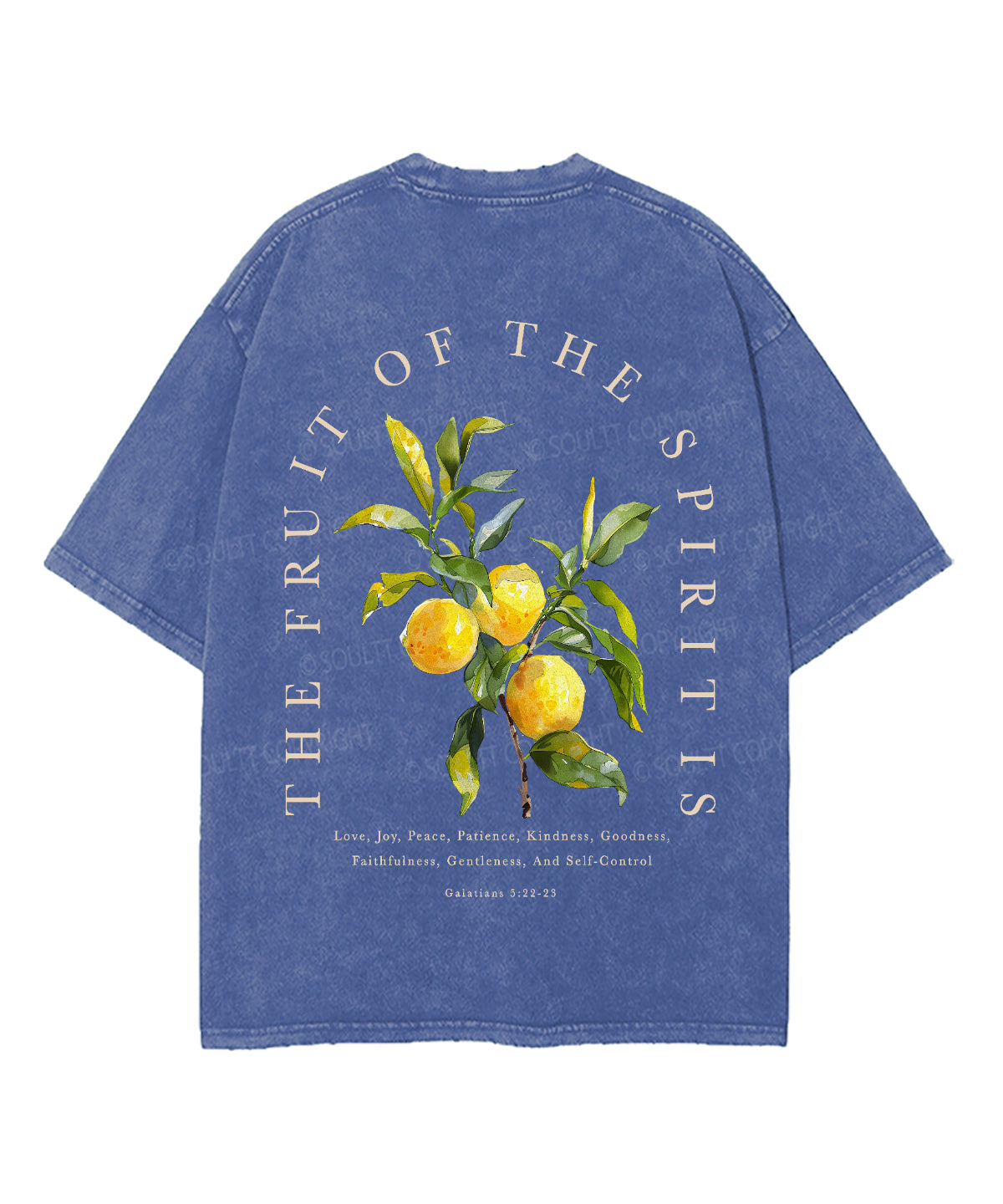 The Fruit Of The Spirit Double Sided Unisex Washed Christian T-shirt