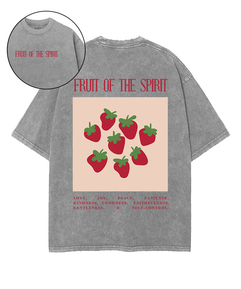 Fruit Of The Spirit Double Sided Washed Christian T-shirt