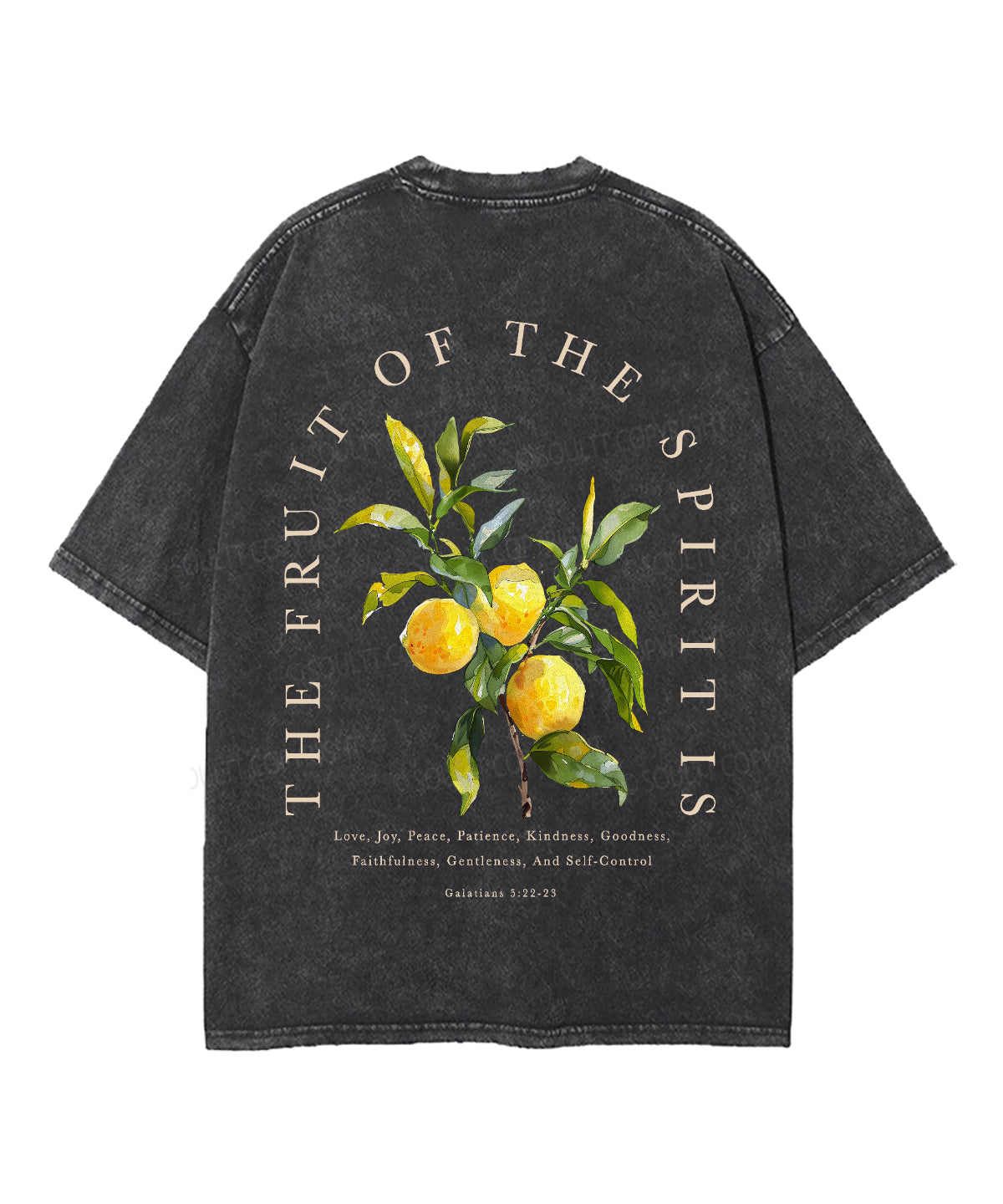 The Fruit Of The Spirit Double Sided Unisex Washed Christian T-shirt